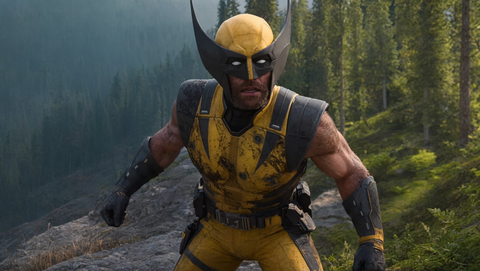 Wolverine Preview