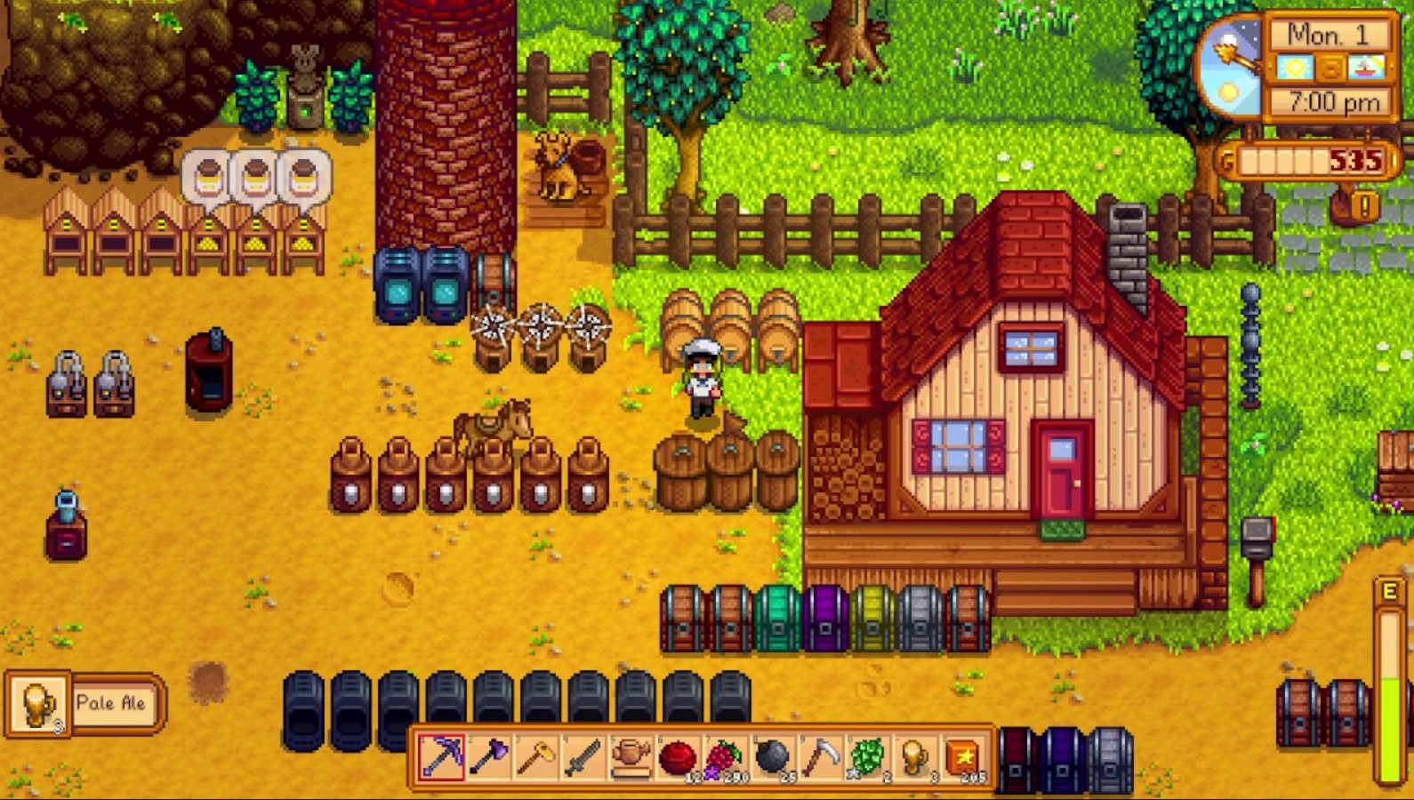 Stardew Valley Pale Ale